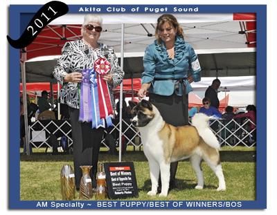 ACPS 2011 Best of Winners